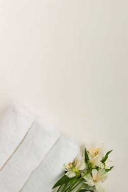 Güzel alstroemeria çiçek ve üç rulo beyaz arka plan üzerinde izole temiz beyaz spa salon banyo havlu. Top düz yatıyordu kopya alanı closeup görüntülemek