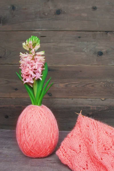 Magnificent Blooming Hyacinth Ball Wool Yarn Color Living Coral Shape — Stock Photo, Image