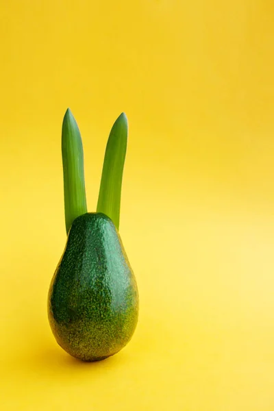 Beautiful Creative Decoration Background Idea Fresh Green Avocado Rabbit Bright — Stock Photo, Image