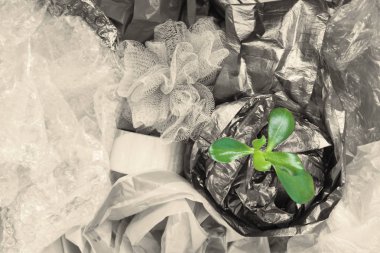 Yeşil sprout çok az plastik çöp yığını kendine yol yapar. Dünya Okyanus plastik kirliliği kavramı. Yop görünümü kopya alanı. Çift ton etkisi