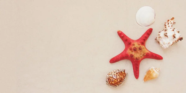 Coquillages de mer et le poisson étoile rouge sur la plage de sable avec espace de copie pour le texte — Photo