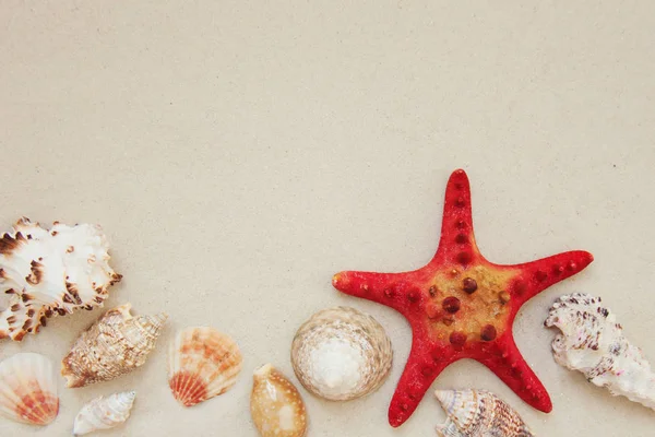 Conchas marinas y peces estrella roja en la playa de arena con espacio de copia para texto —  Fotos de Stock