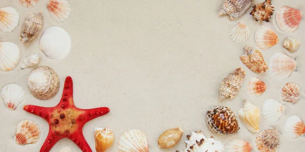 Coquillages de mer et le poisson étoile rouge sur la plage de sable avec espace de copie pour le texte — Photo