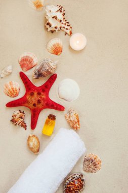 Deniz kabukları ve metin için kopya yer ile kum plajındaki kırmızı yıldız balık. Spa salonu relax arka plan.