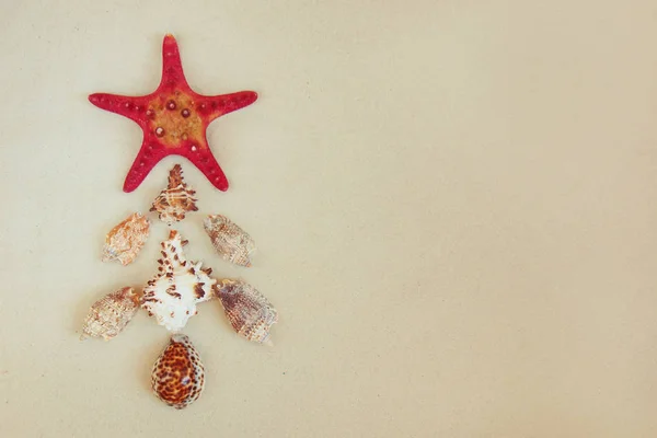 Coquillages de mer et le poisson étoile rouge sur la plage de sable fin avec espace de copie pour le texte. Noel Noel concept de Noël . — Photo