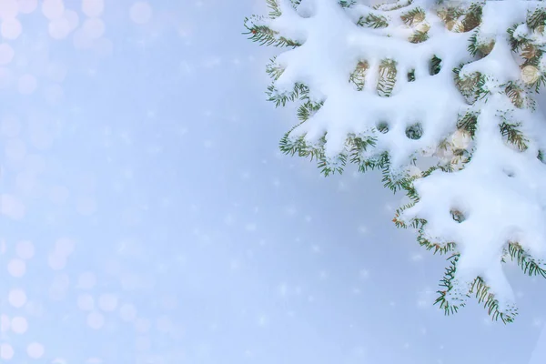 Natur funkeln Hintergrund für Weihnachtskarte. — Stockfoto