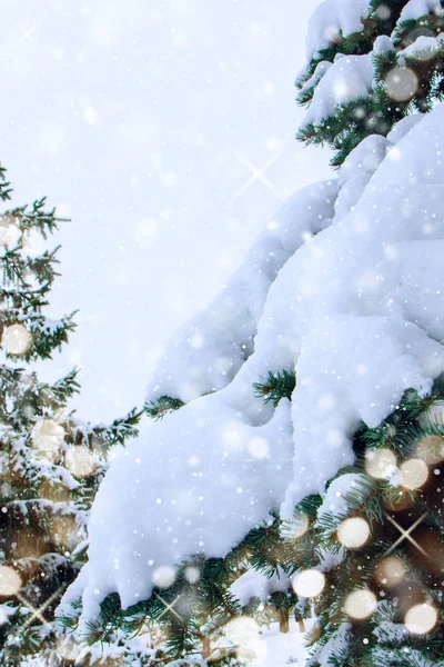 Natur funkeln Hintergrund für Weihnachtskarte. — Stockfoto