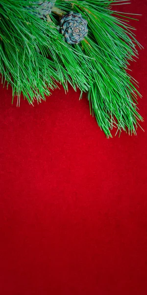 Gemütlicher natürlicher Hintergrund mit Tannenzweigen für Weihnachts- und Neujahrskarten — Stockfoto
