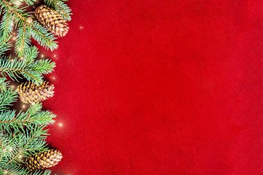 Noel ve yeni yıl kartları için çam dalları olan rahat doğal bir arka plan.