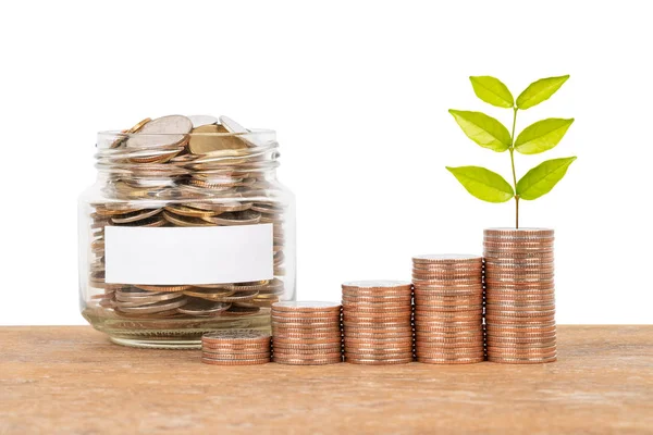 Sikke yığını ve para kavramı kaydetmek beyaz arka plan üzerinde yapraklarla kavanoz