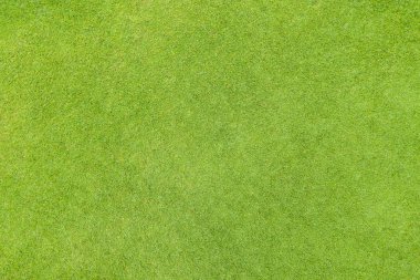 Golf fairway çim doku üstten görünüm