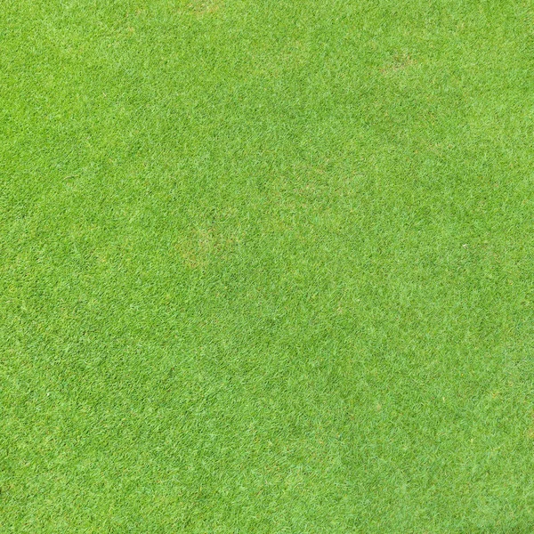Golf Fairway Grass Texture Top View — Stock Photo, Image