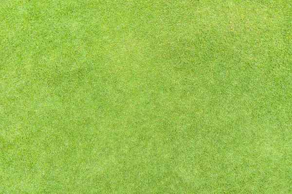 高尔夫球道草纹理顶部视图 — 图库照片