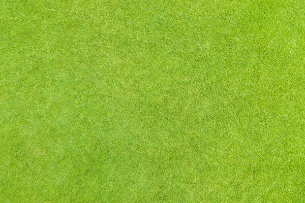 Golfe Puttin Verde Grama Textura Vista Superior — Fotografia de Stock