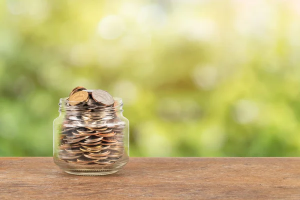 Coin money jar on green tree background