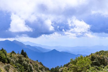 Puslu dağ silsilesi Doi Inthanon Chaing Mai, Tayland kuzeyinde