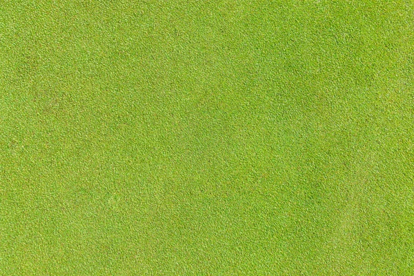 高尔夫推杆绿草纹理顶部视图 — 图库照片