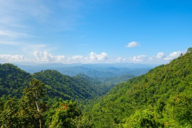 Tropikal orman dağ Samoeng bölgesinde Chiang Mai, Tayland