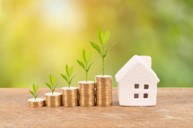 Ağaç bulanıklık yeşil arka plan ipotek konsepti tasarrufu ile modeli ev ve sikke yığını
