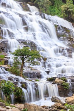 Ağaç şelale arka planda, Mae Ya şelale, Doi Inthanon, Chiang Mai, Tayland