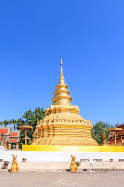 Altın buddha kalıntı pagoda adlı Wat Phra ki Si Chom tanga Worawihan Chiang Mai, Tayland