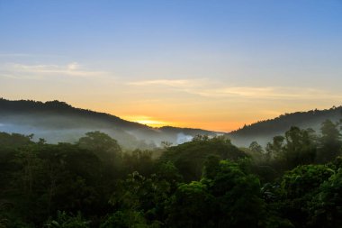 Tropikal orman Dağları sis ve buğu sabah önce güneşin doğuşunu Hang Dong. bölgede Chiang Mai, Tayland