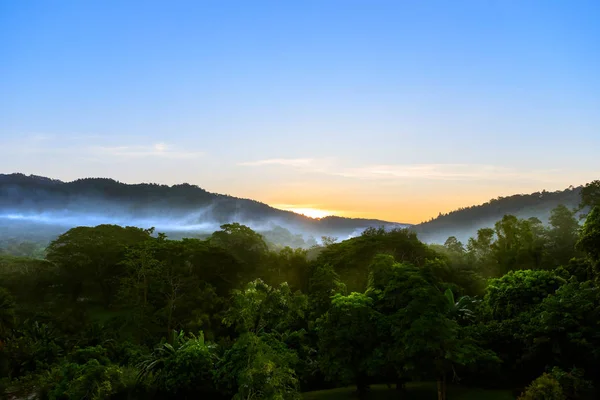 Montaña Bosque Tropical Con Niebla Niebla Mañana Antes Del Amanecer —  Fotos de Stock