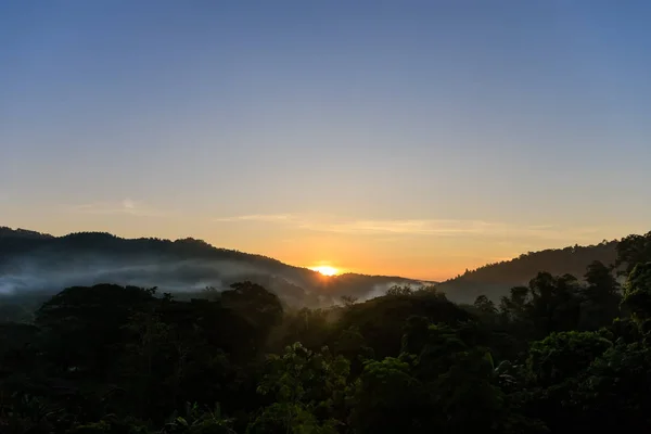 Montanha Floresta Tropical Com Nevoeiro Névoa Manhã Durante Nascer Sol — Fotografia de Stock
