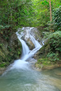 Erawan Şelalesi, Tayland, Kanchanaburi 'deki Ulusal Park' ta.