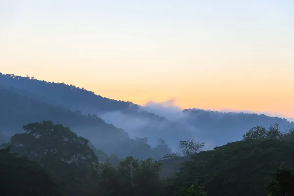 Montaña de bosque tropical con niebla y niebla en la mañana en Hang Do —  Fotos de Stock