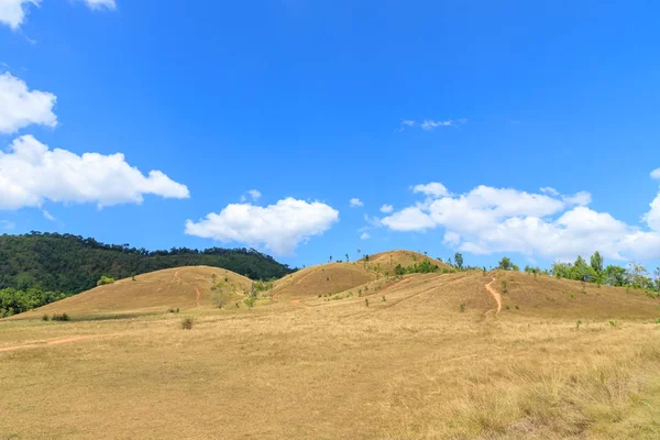 Goldne grass or bald hill mountain, scenic park in Ranong, Thail — Stock Photo, Image