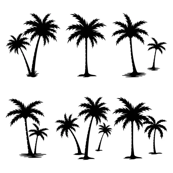 Zestaw Sylwetka Drzewa Palmowego — Wektor stockowy