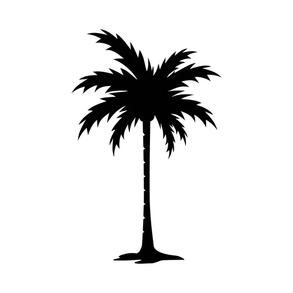 Palm Tree Silueta Vektorový Obrázek Vektorová Grafika