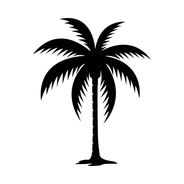Pálmafa Palm Sziluettje Vektor Kép — Stock Vector