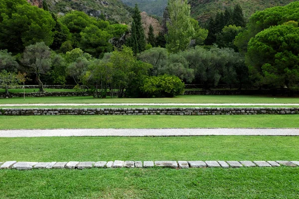 Green Grass Horizontal Paths View Trees Background Summer — Stock Photo, Image