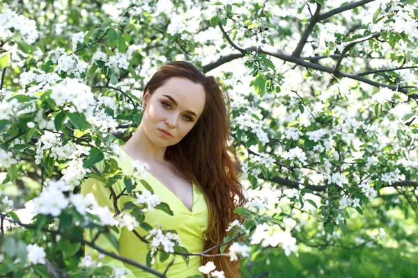 Menina Vestido Primavera Amarelo Contra Fundo Uma Macieira Florescente — Fotografia de Stock