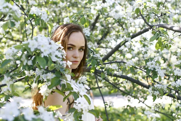 リンゴの木の花の背景に黄色の春のドレスの女の子 ロイヤリティフリーのストック画像