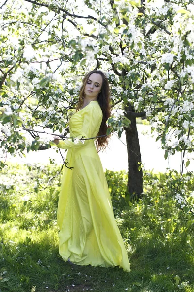 女孩在黄色春天礼服反对绽放苹果树的背景 图库照片