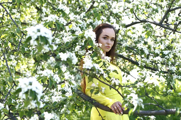 Fille Dans Une Robe Printemps Jaune Sur Fond Pommier Fleurs Photos De Stock Libres De Droits