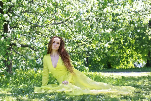 リンゴの木の花の背景に黄色の春のドレスの女の子 ストックフォト