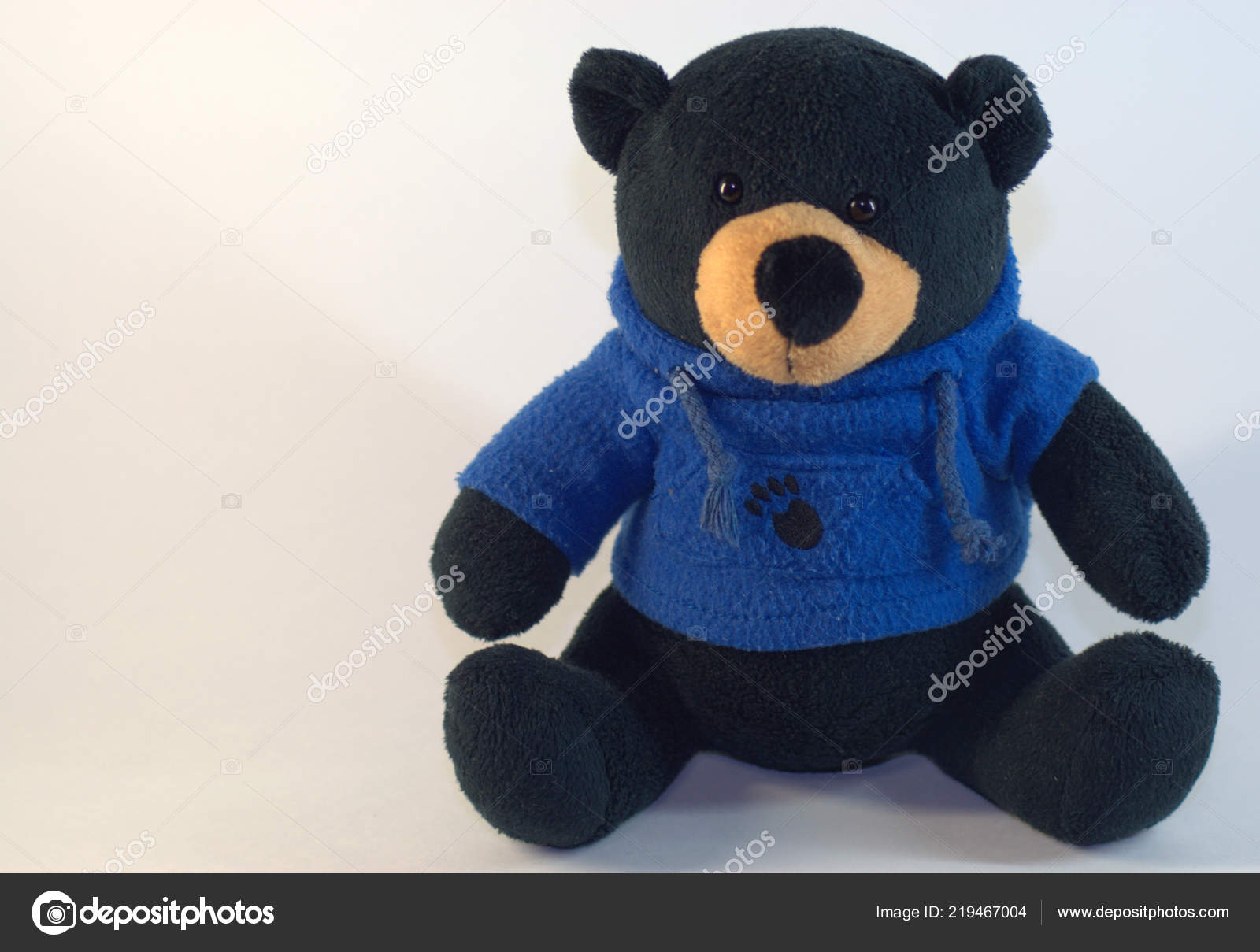 all black teddy bear