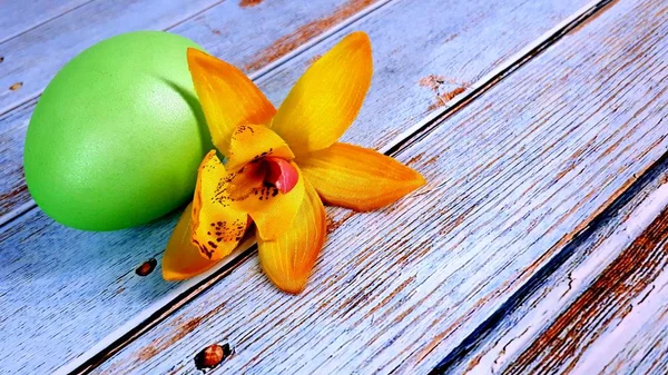 A green Easter egg and a flower are lying on a wooden table. Close-up.