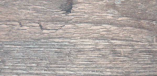 Close-up of dark aged wood texture with cracks. Background.