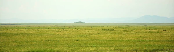 A panoramic shot of the endless steppe under the summer sunny sky with high mountains in the background. Khakassia, South Siberia, Russia.