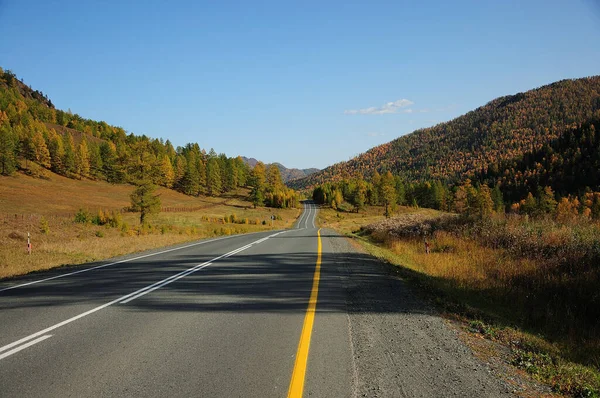 Two-lane asphalt road leading through a valley surrounded by picturesque autumn mountains. Chuisky tract, Republic of Altai Mountains, Siberia, Russia.