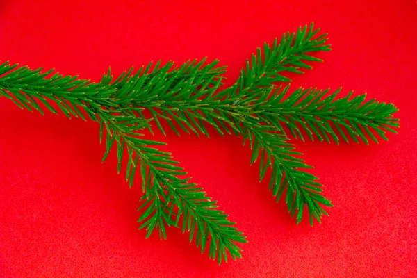 Noel ağacı dalları arka planda. Noel ağacı duvar kağıdı. Pankart. Düz yatış, üst görünüm. 