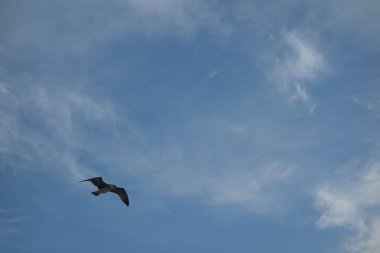 Thassos'tan Keramoti'ye yelken, Yunanistan, yaz 2018