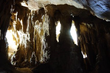 Resava mağara ya da Resavska mağara Jelovac Doğu Sırbistan, yaklaşık 20 km Despotovac.It yakınındaki bir mağara en büyük mağara sistemleri olduğunu. Mağara en eski speleothems 45 milyon yıl öncesinden bugüne ise 80 milyon yaşında olduğu tahmin edilmektedir.
