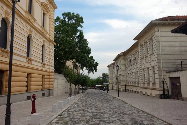 Renovated cobbled street on Kosanicic wreath with  historical  buildings from the end of the nineteenth century in a row to the sides goes into perspective with green trees in indefinitely,above the banks of the Sava River,Belgrade Serbia