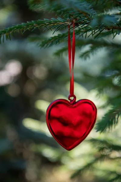 Corazón rojo decorativo en cinta en brach borroso de árbol de Navidad. Feliz tarjeta de Navidad. Tema de vacaciones de invierno. Feliz Año Nuevo . —  Fotos de Stock